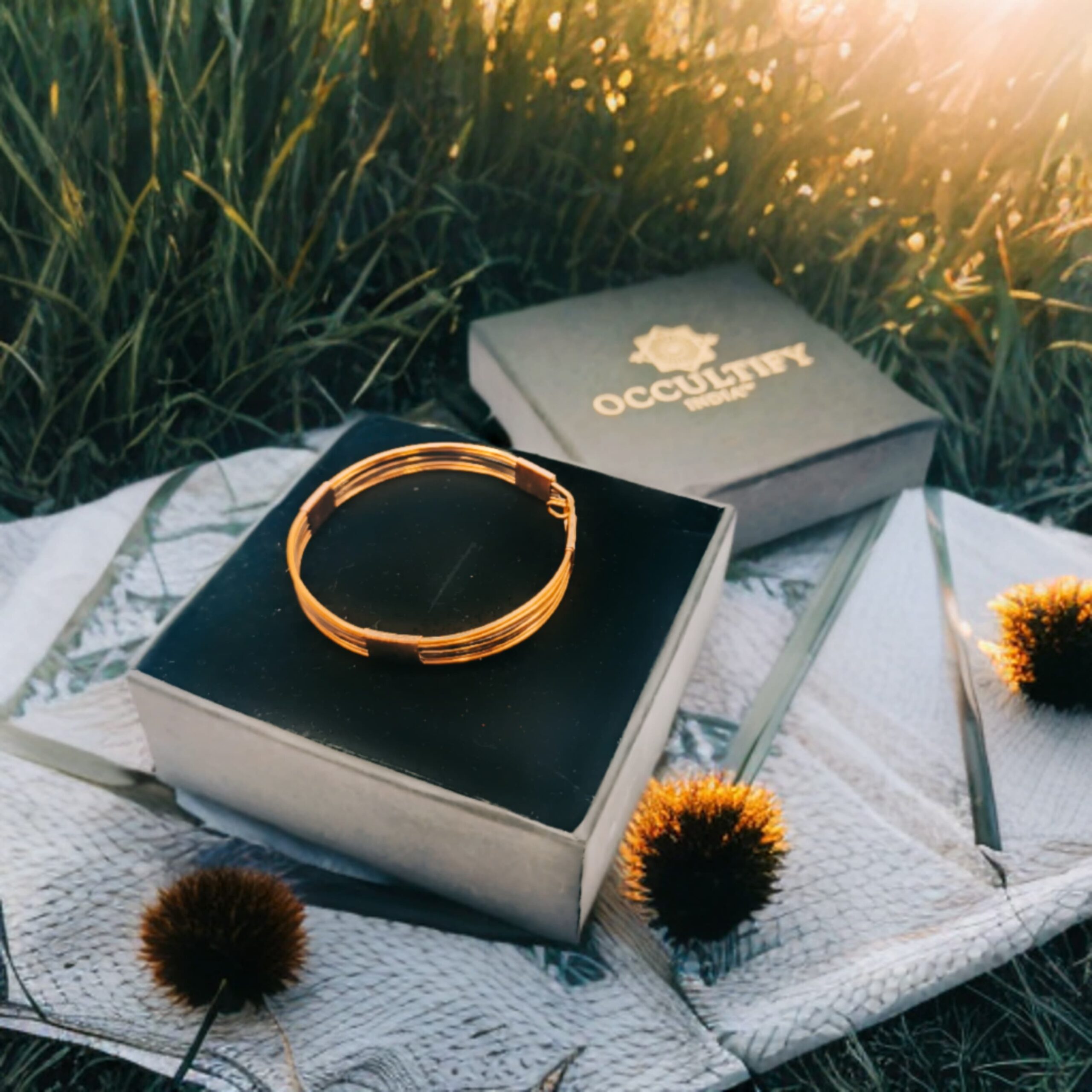 WhatsApp Image 2024-11-01 at 18.18.48